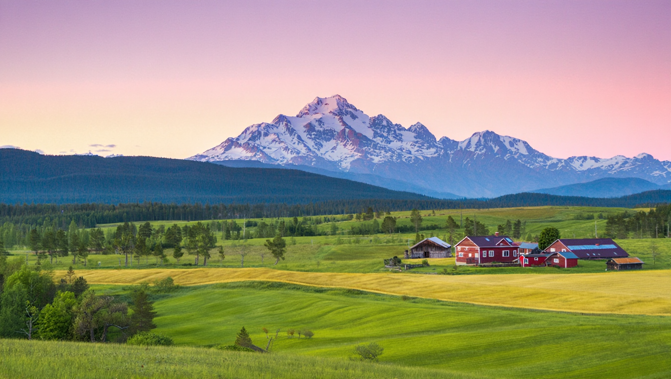 Survival Skills for Everyday Crises – From Finance to Home Essentials